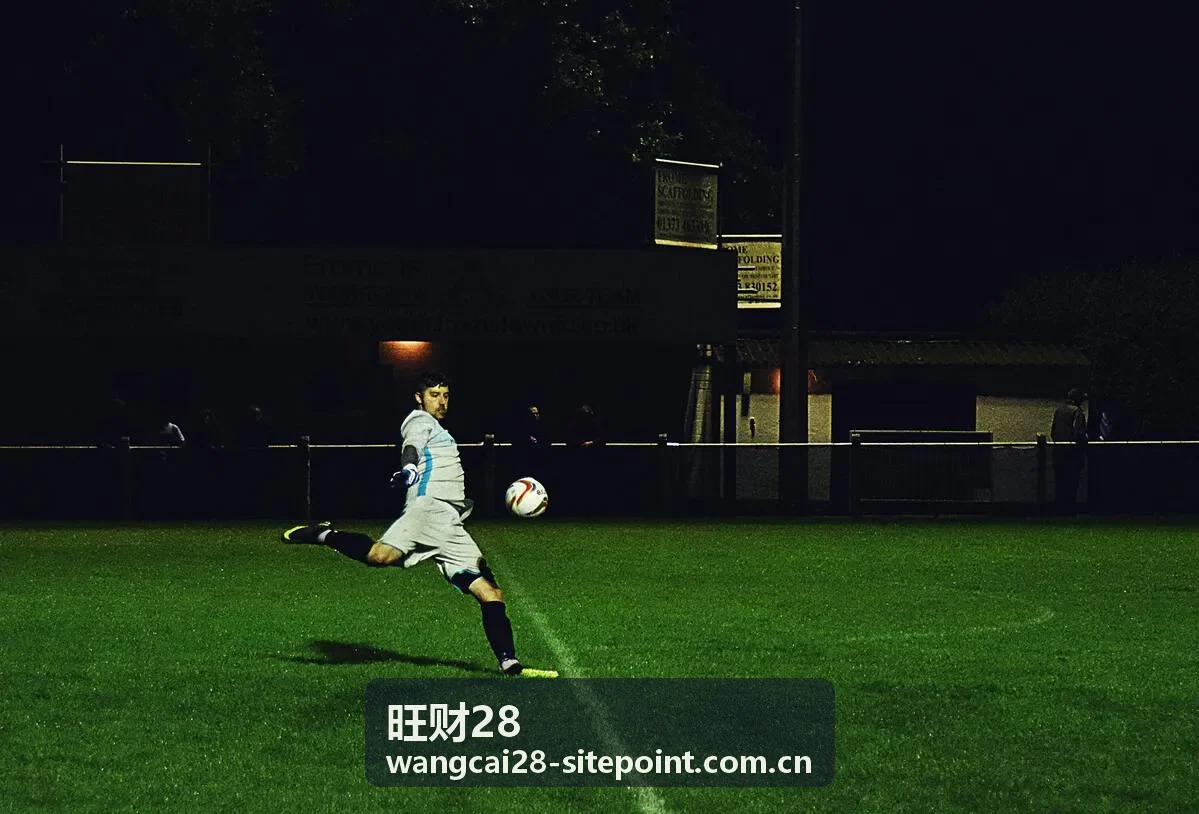 旺财28品牌数据研究团队工作实景